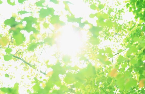 肩こりは肩を揉んではいけない？　徳島市　癒し処MARE